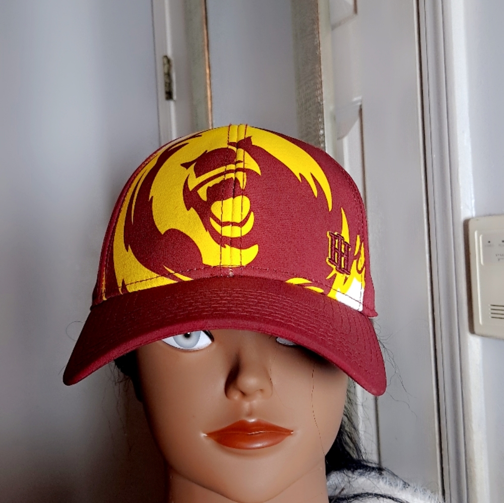 Bears Hat